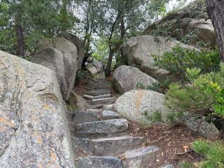 箱島神社の参拝記録(いけさん)