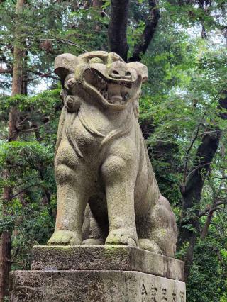 大前神社の参拝記録(たけちゃ～ん⚾さん)