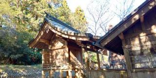 井伊社の参拝記録(優雅さん)