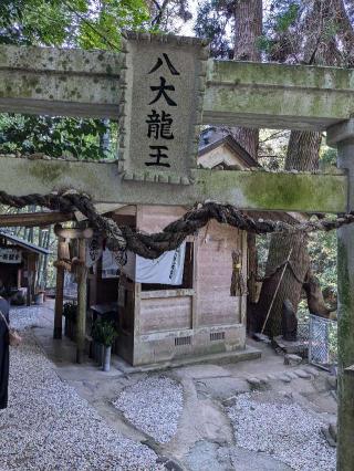 神龍八大龍王神社の参拝記録(こまいぬおさん)