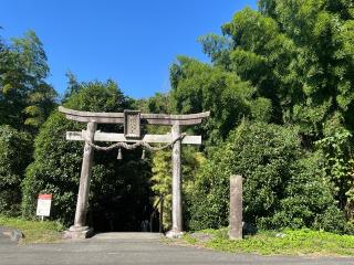 神龍八大龍王神社の参拝記録(みんきちさん)