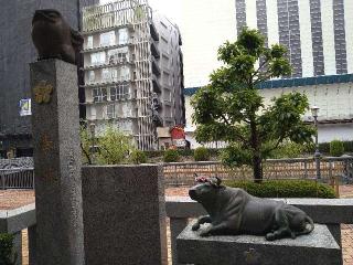 澤姫稲荷神社の参拝記録(yukiさん)