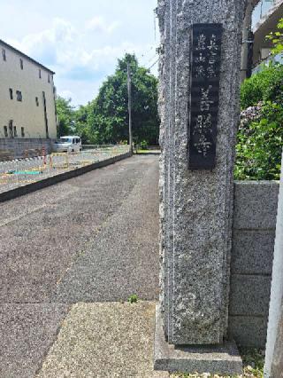 善照寺の参拝記録(まーさんさん)