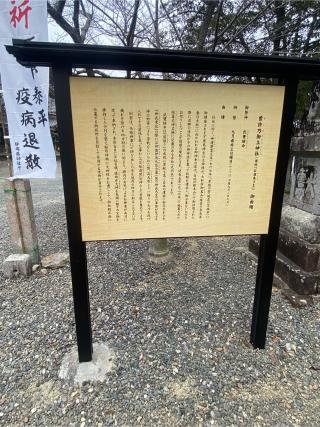 曽許乃御立神社の参拝記録(クリケットさん)