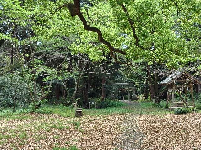 曽許乃御立神社の参拝記録5