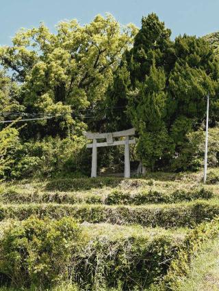 塩屋神社の参拝記録(なぬなぬさん)