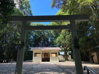 上田神社の参拝記録(恭子さん)