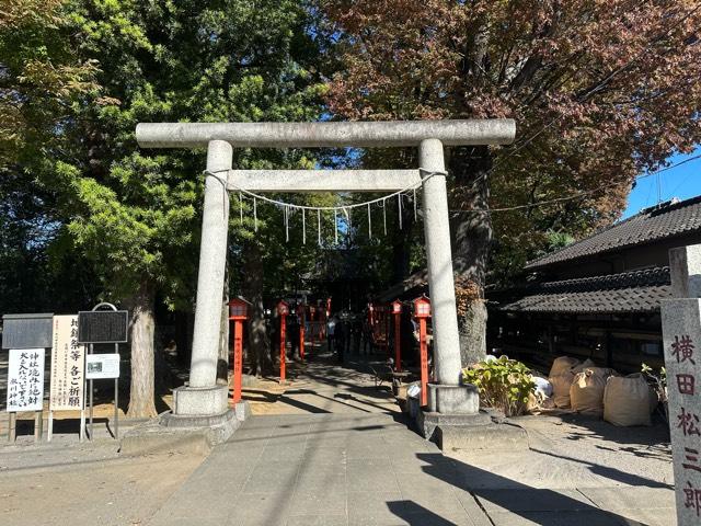伊興氷川神社の参拝記録3