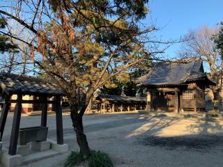 古千谷氷川神社の参拝記録(shikigami_hさん)