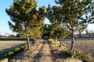 大崎神社の参拝記録(thonglor17さん)