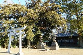 台久伊豆神社の参拝記録(thonglor17さん)
