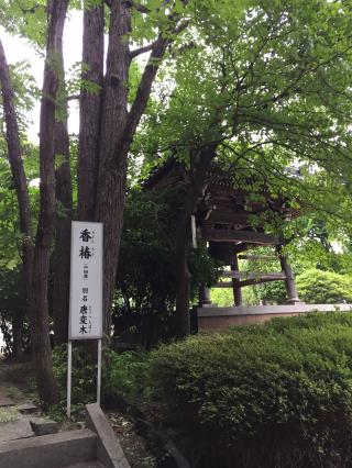 広徳寺の参拝記録(にーくんさん)