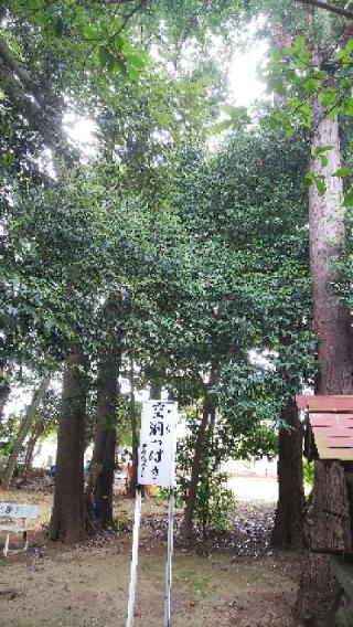 広徳寺の参拝記録(のむたんさん)