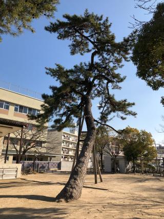 黄魂彦神社の参拝記録(りゅうぐうのつかいさん)