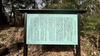 月水石神社の参拝記録(金猿さん)