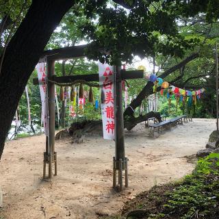 白美龍神社の参拝記録(ワヲンさん)