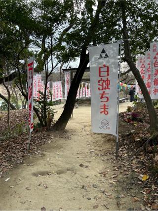 白美龍神社の参拝記録(シンヤさん)