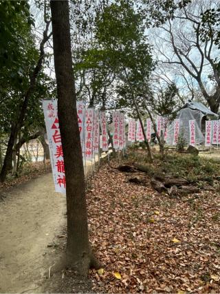白美龍神社の参拝記録(シンヤさん)