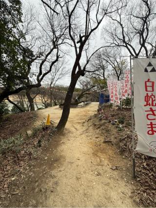 白美龍神社の参拝記録(シンヤさん)