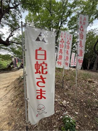 白美龍神社の参拝記録(シンヤさん)