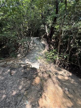 白美龍神社の参拝記録(シンヤさん)