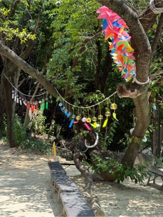 白美龍神社の参拝記録(シンヤさん)