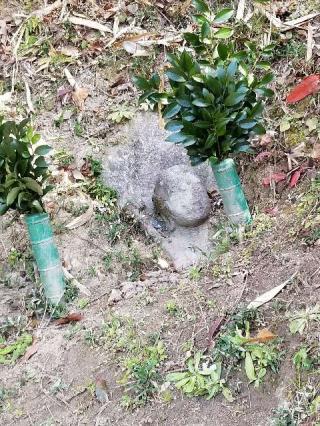 わらいぼとけの参拝記録(ふみにゃんさん)