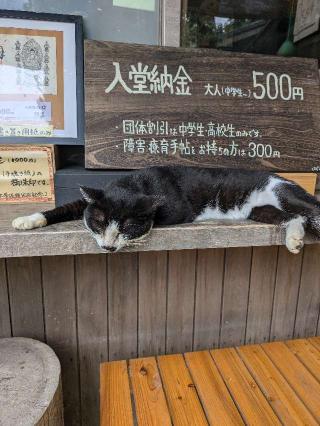 浄瑠璃寺　三重塔の参拝記録(まさきさん)