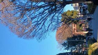 天満神社(氷川神社末社)の参拝記録(SFUKUさん)