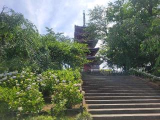 長谷山 本土寺の参拝記録(まっきーさん)