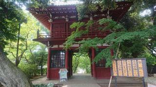 長谷山 本土寺の参拝記録(おがおが1262さん)