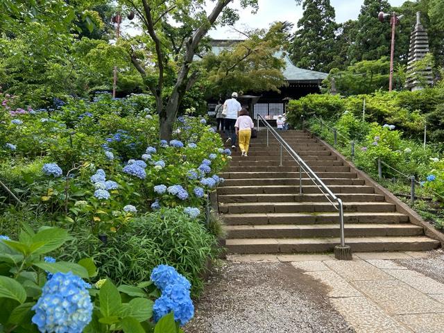 長谷山 本土寺の参拝記録5