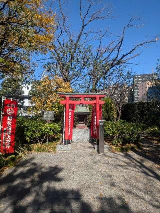 錦秋稲荷神社の参拝記録(はくすみさん)
