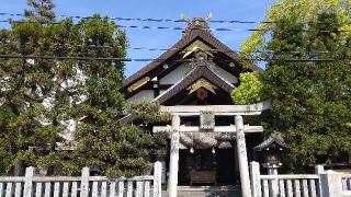 出雲大社福山分祠の参拝記録(ひこさん)