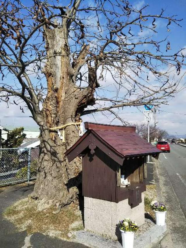 奈良県御所市西柏町1296 金龍大明神・白龍大明神 (西柏町)の写真1