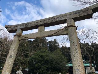 賀茂神社の参拝記録(ふるかわさん)