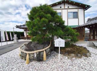 八海山神社の参拝記録(nak55さん)