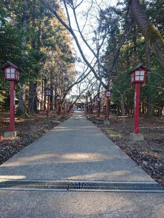 橿原神社の参拝記録(ひさぽんさん)
