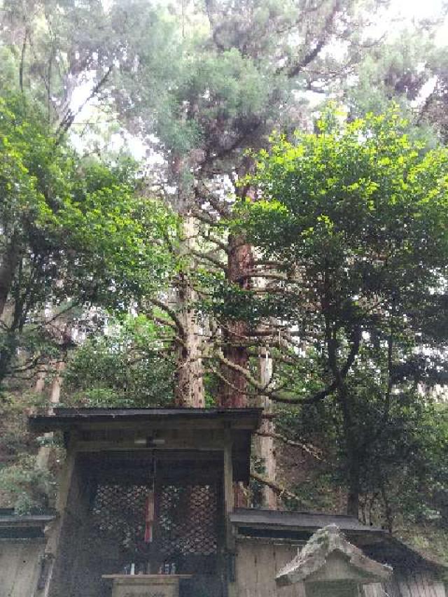 麻生田神社 (足刈大明神)の参拝記録2