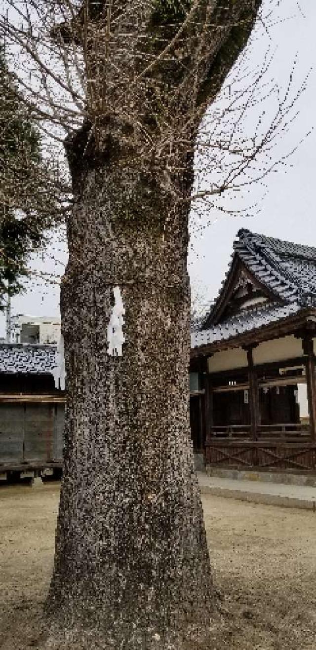 広島県広島市安佐南区東原1丁目11 瑞穂神社の写真6