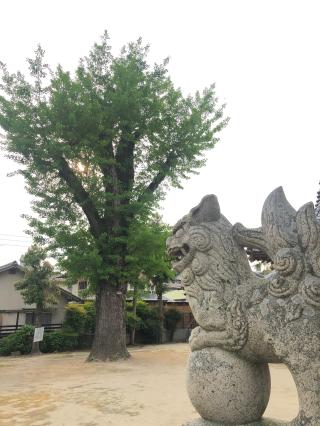 瑞穂神社の参拝記録(あくんさん)