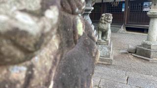 春日神社 (橿原市今井町)の参拝記録(すったもんださん)