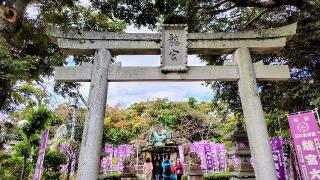 龍宮（江島神社）の参拝記録(オトギリルさん)