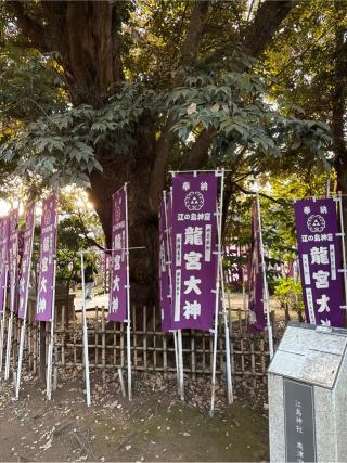 龍宮（江島神社）の参拝記録(⛩️🎠🐢まめ🐢🎠⛩️さん)