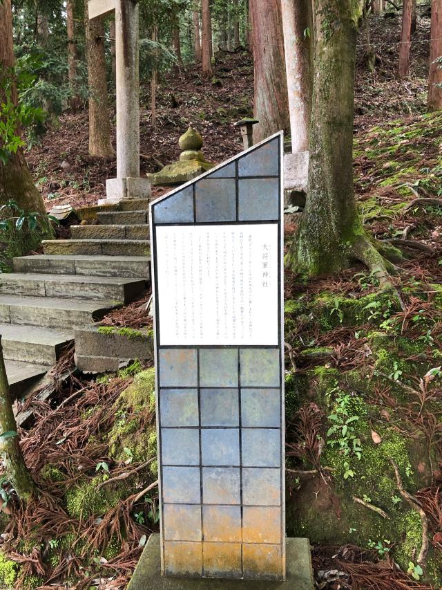 福井県越前市不老町 大将軍神社の写真3