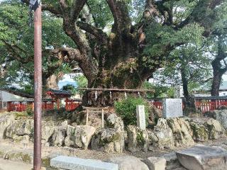 宇美八幡宮の参拝記録(ゆみねえさん)