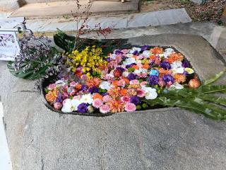 宇美八幡宮の参拝記録(ゆみねえさん)