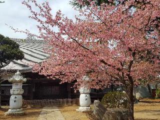 鳴鐘山 東勝寺 宗吾霊堂の参拝記録(支那虎さん)