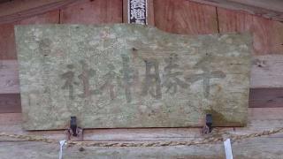 千勝神社の参拝記録(のりさん)