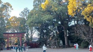 末社六社（氷川神社末社）の参拝記録(SFUKUさん)